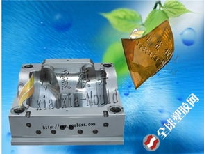 头灯塑料模具的研制与大型塑胶模具制造关键技术